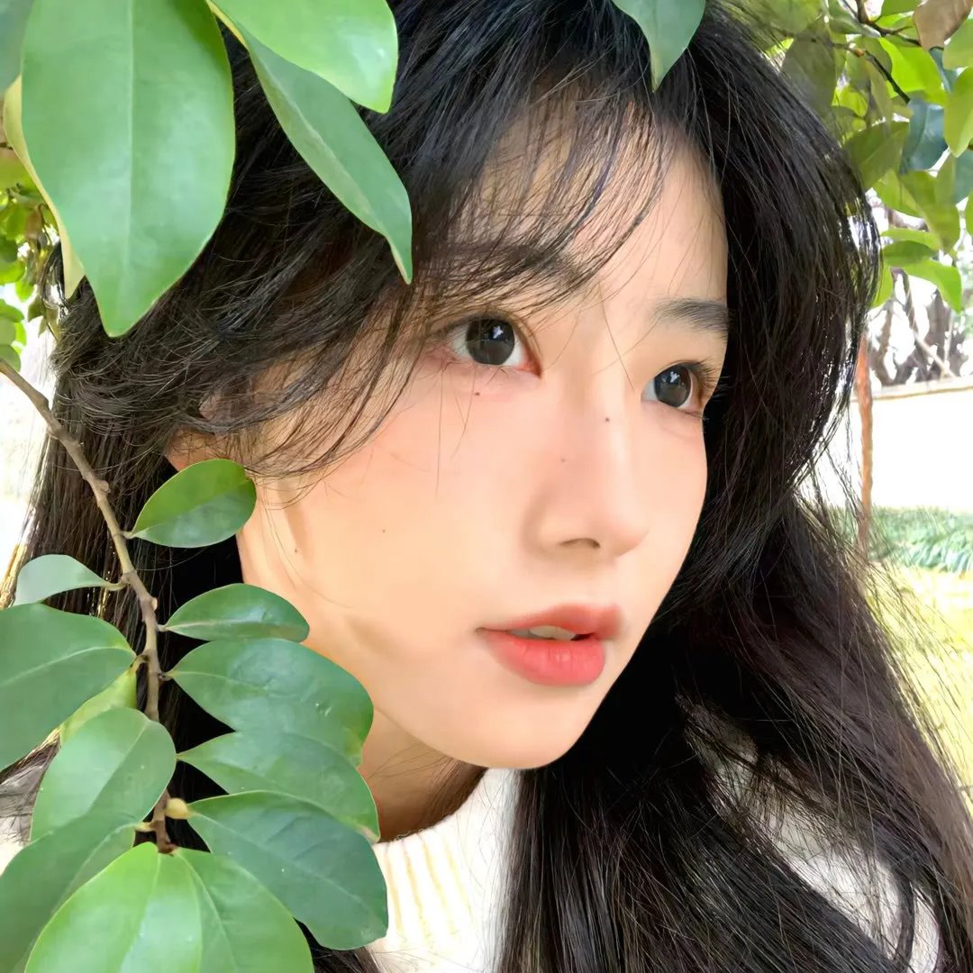 荣耀之路